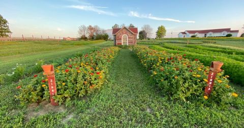 Pick Your Own Flowers At The Charming Valley View Flowers In Nebraska