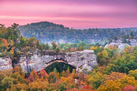 Red River Gorge: The 'Grand Canyon Of Kentucky' Is A True Hidden Gem