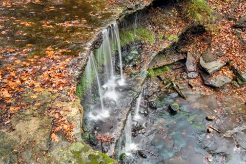 The Falls Vista Trail In West Virginia Is A 1-Mile Out-And-Back Hike With A Waterfall Finish