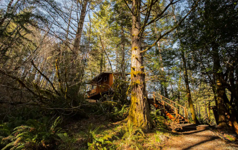 Sleep Underneath The Forest Canopy At This Epic Treehouse In Oregon