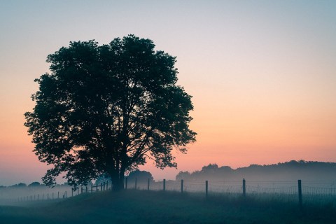 These 5 Little-Known Natural Wonders In Indiana Belong On Your Bucket List