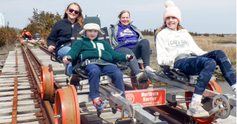 Pedal Around A Nature Preserve In New Jersey On A Converted Rail Trail