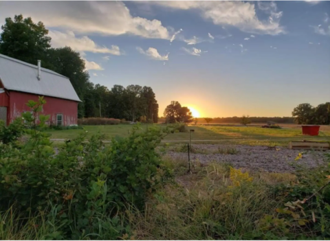 Spend The Night In An Airbnb That's Inside A Rustic 1930s Barn Right Here In Indiana