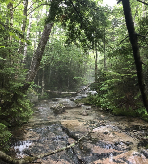 The Little Abol Falls Trail In Maine Is A 1.8-Mile Out-And-Back Hike With A Waterfall Finish