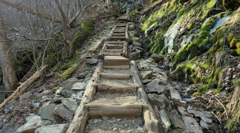 Dark Hollow Falls Trail In Virginia Is A 1.5-Mile Out-And-Back Hike With A Waterfall Finish