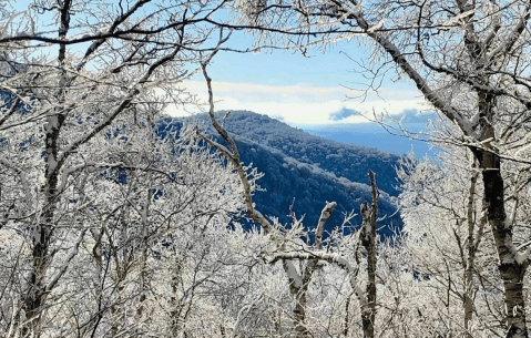 Hike On This Winter-Friendly Part Of The Long Trail In Vermont For Gorgeous Snowy Vistas