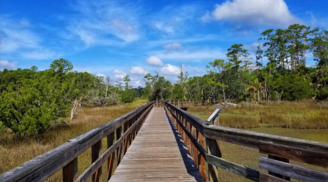 Explore Nearly 18 Square Miles Of Unparalleled Views Of Skidaway Island On The Scenic Hike In Georgia