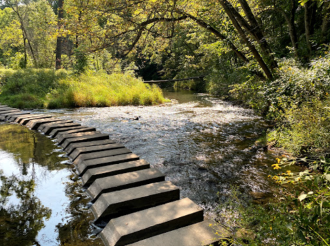 Minnesota's Whitewater State Park Looks Like Something Out Of Middle Earth