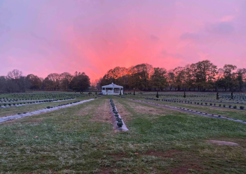 Spend The Night In A Private Suite On A Peaceful Lavender Farm In Rhode Island