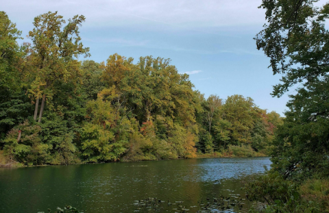 The Gorgeous 1.5-Mile Hike In New Jersey's Watchung Reservation That Will Lead You Past A Waterfall And A Lake