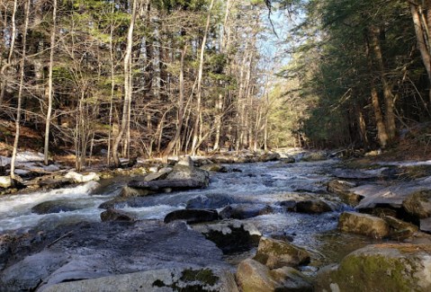 Escape To Mink Brook Nature Preserve For A Beautiful New Hampshire Nature Scene