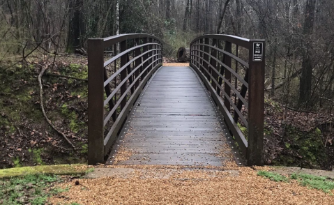 The Trail from Oxford Depot to William Faulkner Home Will Show You A Completely New Side Of Mississippi