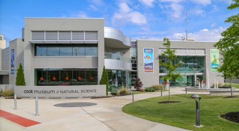 Explore An Indoor Forest And More At The Nationally Recognized Cook Museum Of Natural Science In Alabama