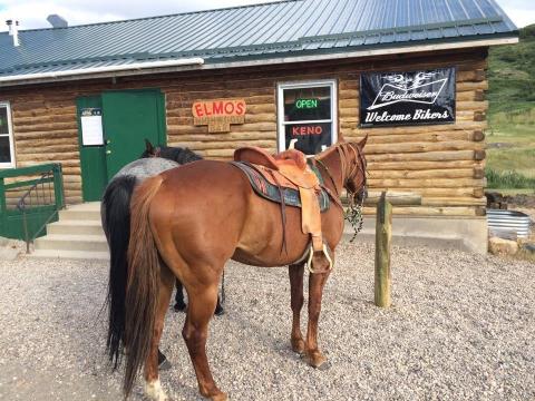 Friendly Faces And Good Old-Fashioned Home Cooking Await You At Elmo's Highwood Bar In Montana