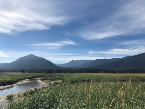 Walk Through The Wetlands On Auke Bay In Alaska On This Easy, Family-Friendly Trail