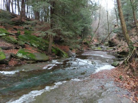 Escape To Dundee Falls For A Beautiful Ohio Nature Scene