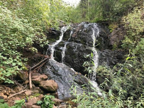 The Clear Creek Trail In New Mexico Is A 4-Mile Out-And-Back Hike With A Waterfall Finish