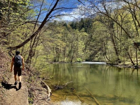 The Gorgeous 3-Mile Hike In Ohio's Mohican State Forest That Will Lead You Past A Covered Bridge And River