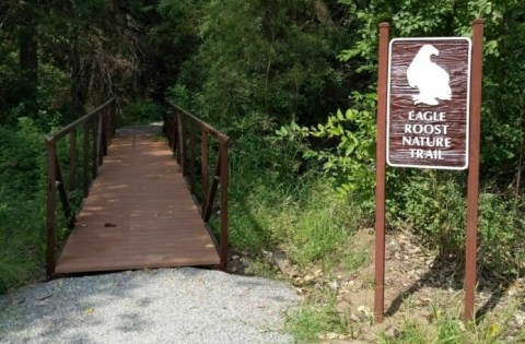 Take An Easy Loop Trail Past Some Of The Prettiest Scenery In Oklahoma On The Eagle Roost Nature Trail