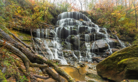 The Yellow Branch Falls Trail In South Carolina Is A 3-Mile Out-And-Back Hike With A Waterfall Finish