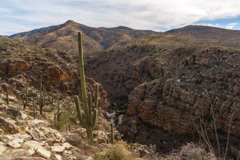 Hidden Deep In The Arizona Desert, La Milagrosa Canyon Is One Of The Most Underrated Natural Wonders Around