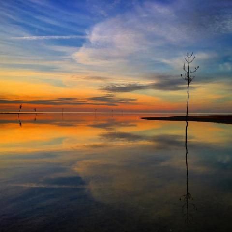 Rock Harbor Marsh Is A Massachusetts Hidden Gem With Otherworldly High Tide Views