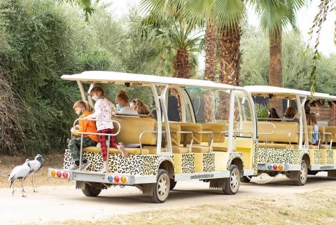 Go On A Realistic Safari As You Make Your Way Through Wildlife World Zoo In Arizona