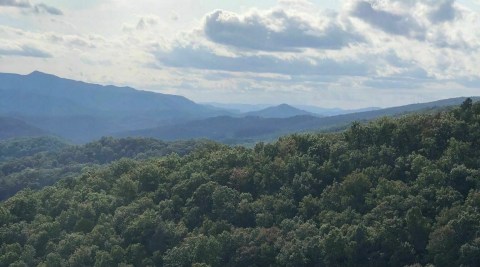 Explore Thousands Of Acres Of The Largest Old Growth Forest In Kentucky Along The Knobby Rock Trail