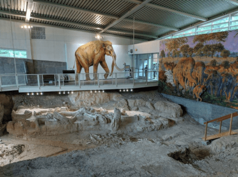 Waco Mammoth National Monument In Texas Brings Ancient History To Life