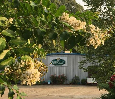 A Warehouse Turned Hotel, Cart Barn Inn Offers One Of Mississippi's Most Unique Getaways  