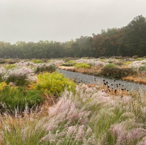 The Delaware Botanic Gardens Is The Newest Place To Spend A Beautiful Spring Day