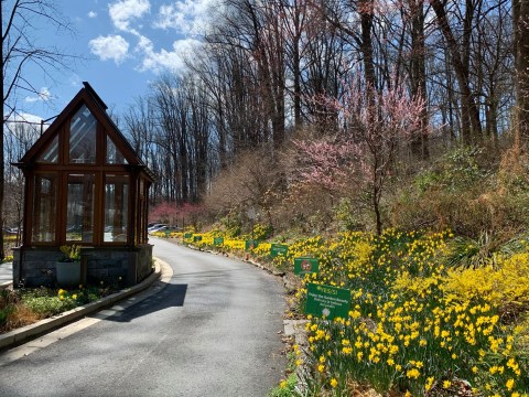 This Beautiful 50-Acre Garden In Maryland Is A Sight To Be Seen