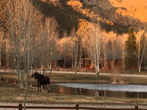 Aspen Grove Inn Is A Rustic Cottage Resort In Idaho That's Just Steps Away From A Trout Pond