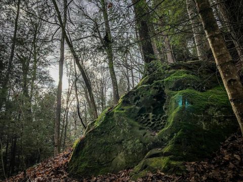 Escape To The Three Bridges Trail For A Beautiful Kentucky Nature Scene