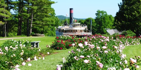 Take This Road Trip To The 5 Most Eye-Popping Peony Fields In Vermont