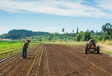 Once You Buy Fresh Produce At Gathering Together Farm In Oregon, You Won't Shop Anywhere Else