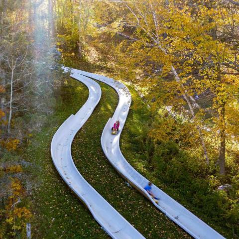 Ride Through Massachusetts On The Epic Mountain Adventure Park Alpine Slide