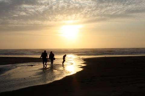 This Hidden Beach Along The Oregon Coast Is The Best Place To Find Seashells