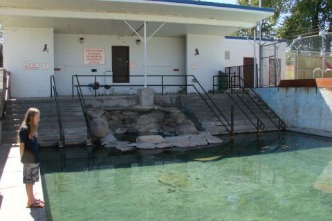 Saratoga, Wyoming Is Home To A Relaxing Natural Hot Spring Pool, Open 24/7, And Completely Free