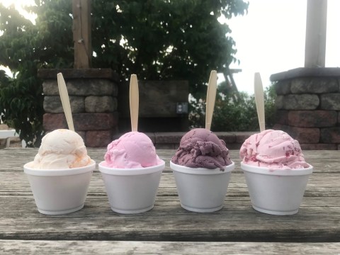 Your Sweet Tooth Will Go Crazy When You Follow The Bucks County Sweet Spots Trail