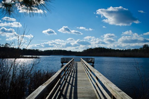 Explore Miles Of Unparalleled Views Of Marshes On The Scenic Prime Hook National Wildlife Refuge Trails In Delaware