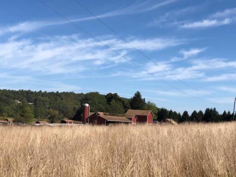 Cuddle With Baby Goats And Pigs At This Adorable New Jersey Nature Reserve