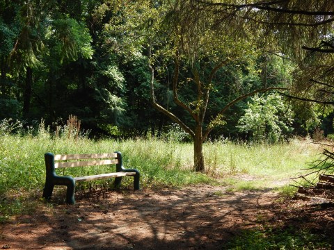 Get Lost Among More Than 1,400 Species Of Plants At Sunny Fields Botanical Park In Michigan