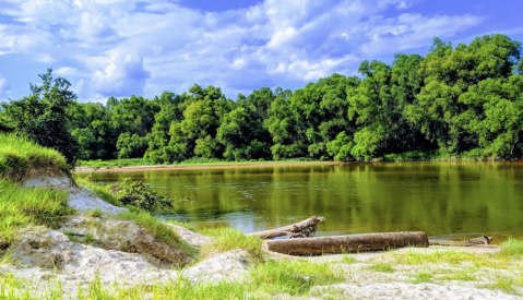 Over 1,700 Acres Of Adventure Awaits You At Bogue Chitto State Park Near New Orleans