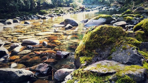 Hike Past An Emerald Lagoon And Through Verdant Forests On The Salmon River Trail In Oregon