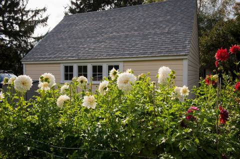Visit This Dreamy Flower Farm In Upstate New York This Spring