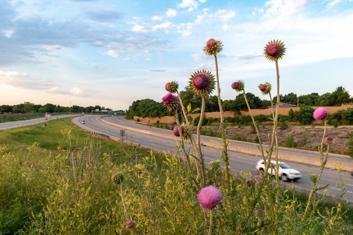 A photo from the grass looking towards an Overland Park highway.