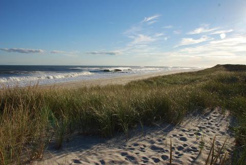 This Beach Along The New York Coast Is The Best Place To Find Seashells