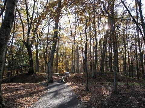 You Can Still Tour These Hand-Dug, 160-Year-Old Civil War Trenches In West Virginia