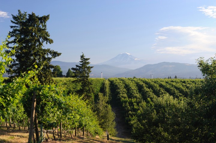 Mount Hood Railroad